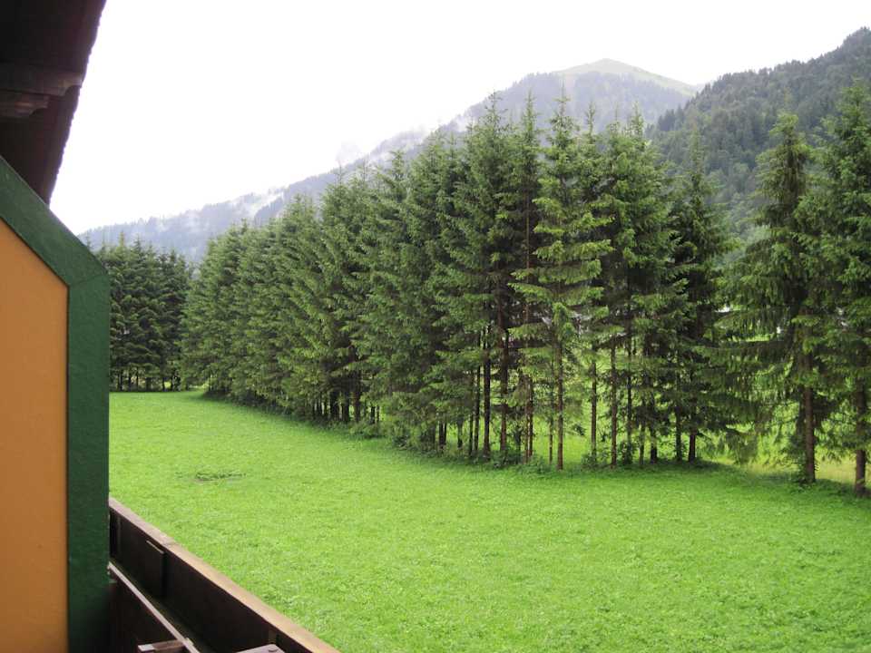 Hinter dem Haus Pension & Ferienwohnung Solaria