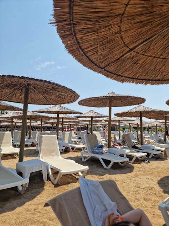 Strand Dream Fun World