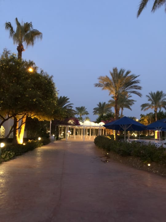 Gartenanlage Desert Rose