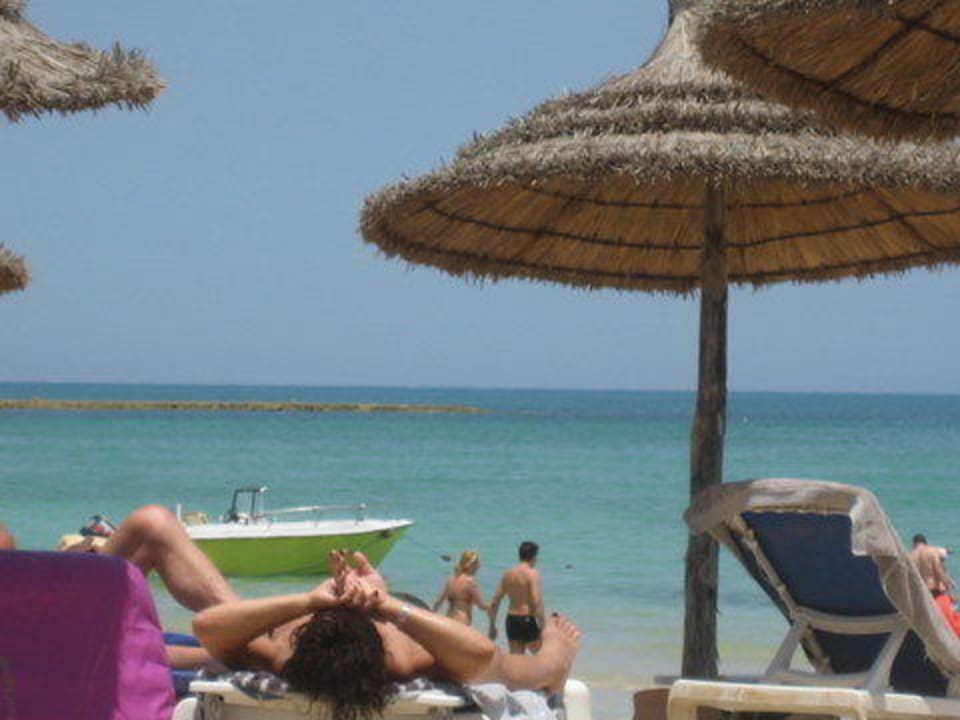 Meerblick Vincci Safira Palms