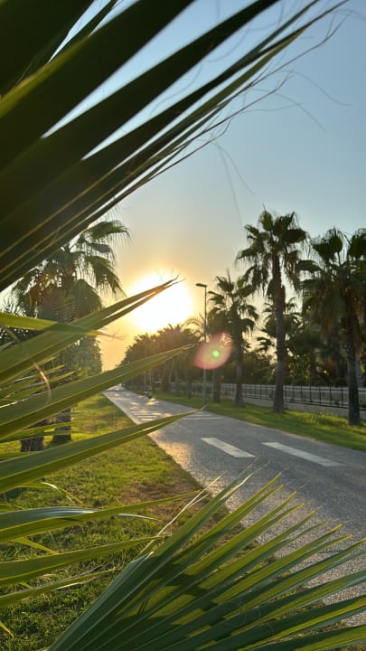 Gartenanlage Bella Resort & Spa