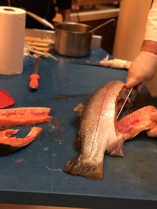 Gastro Arum Barut Collection