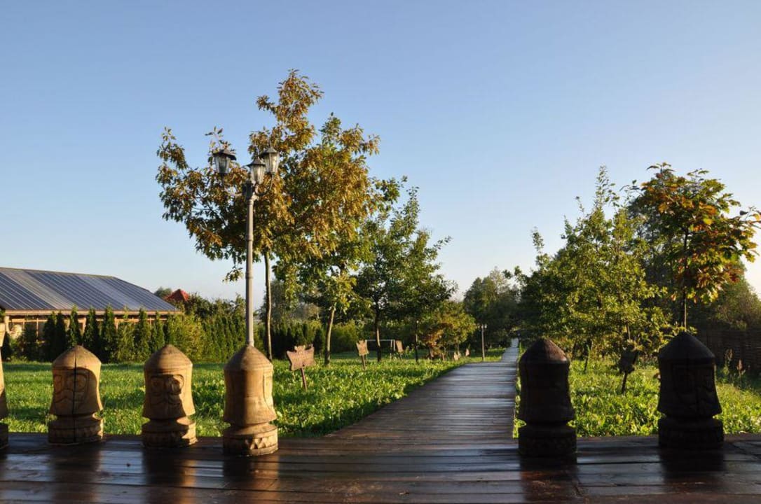 Aleja dębów Dworek nad Łąkami Kiermusy