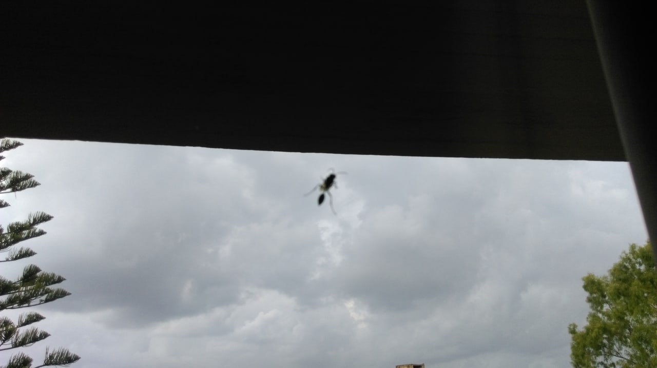 Sonstiges Grecotel LUXME Palms at Riviera Olympia & Aqua Park