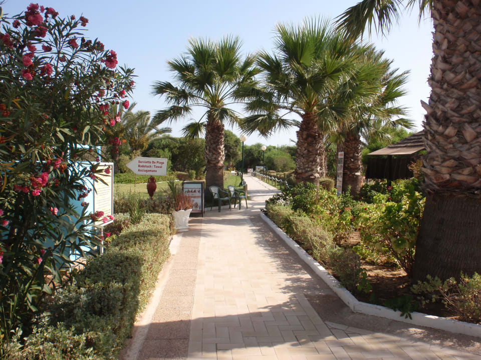 Gartenanlage Iberostar Waves Mehari Djerba