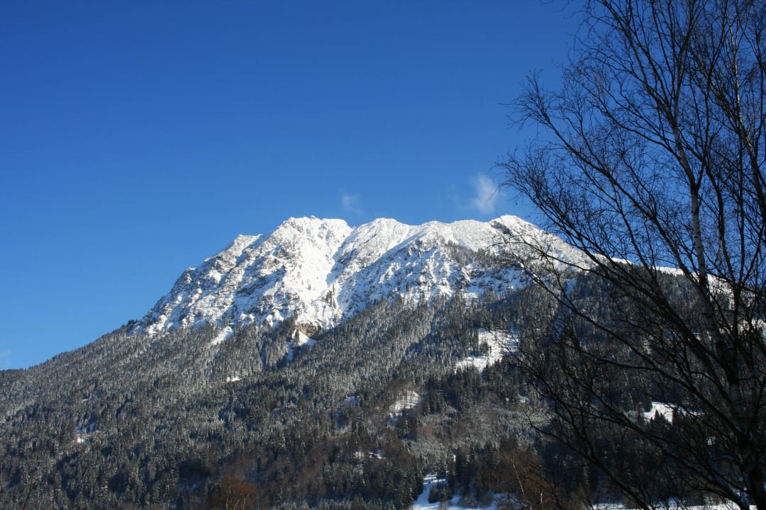 Haus Partale mit Blick in die Berge inklusive Haus Partale