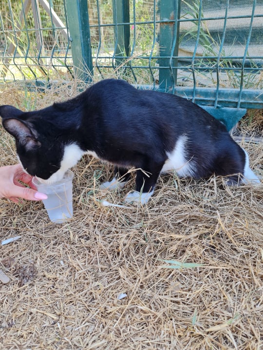 Sonstiges Opia Hotel