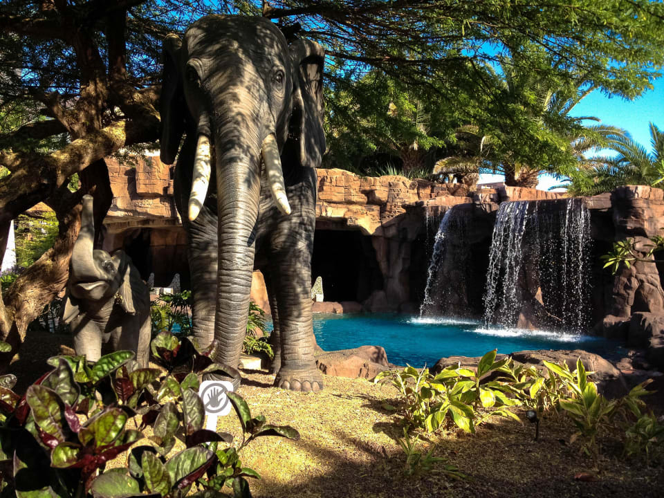 Pool mit Wasserfall Lopesan Baobab Resort
