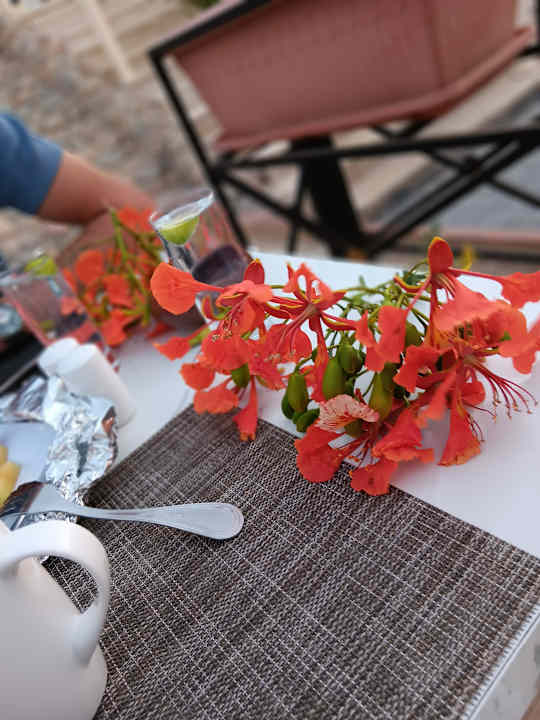 Gastro Hurghada Long Beach Resort