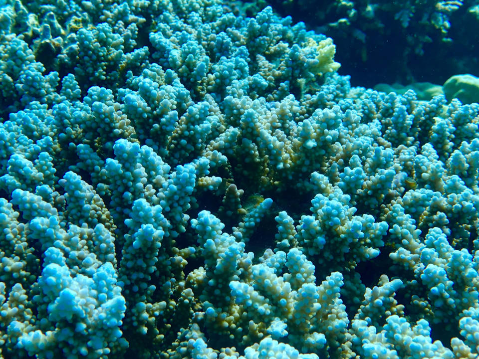 Sport & Freizeit Grand Makadi