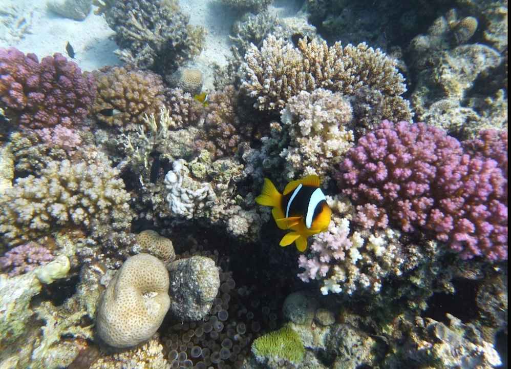 Strand Arabella Azur Resort