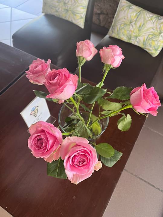 Gartenanlage Bahari Beach Hotel