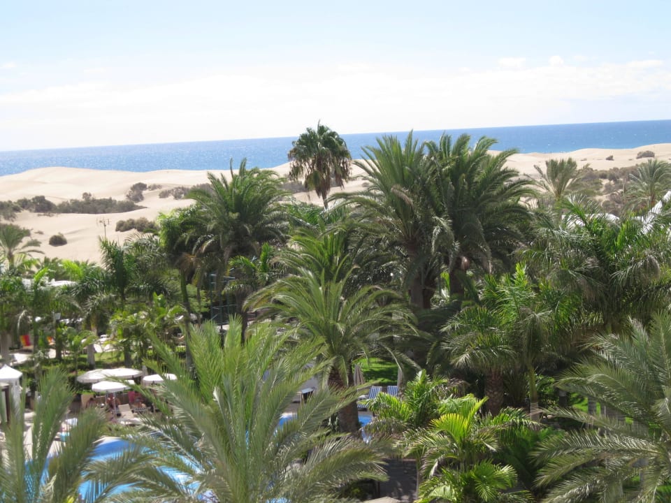 Blick auf die Dünen Hotel Riu Palace Maspalomas Adults Only