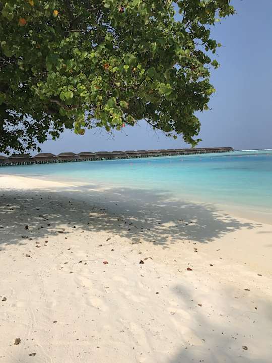 Strand Meeru Maldives Resort Island