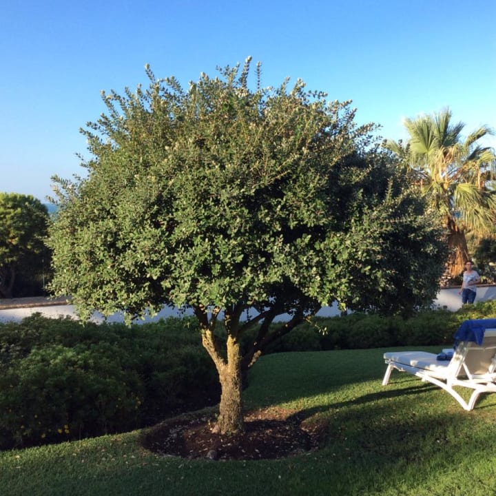 Gartenanlage Fuerte Costa Luz (Fuerte Conil-Resort)