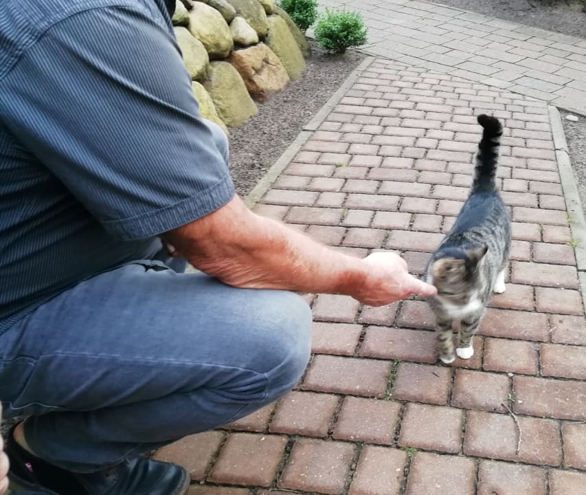 Sonstiges Wy & Spa Wellnesshotel