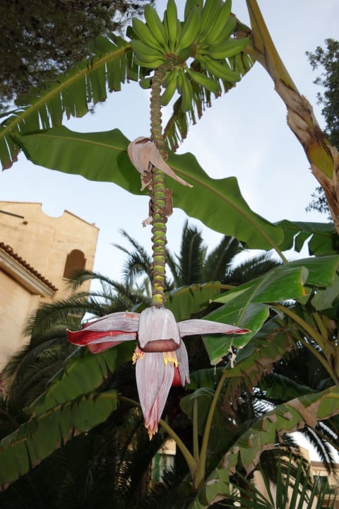 Gartenanlage Lago Garden