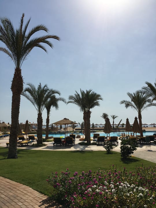 Pool Novotel Marsa Alam Beach Resort