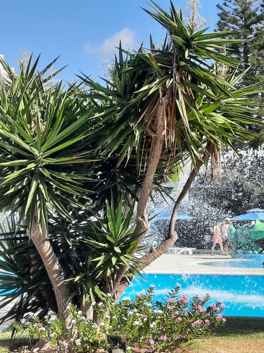 Pool Mahdia Palace Thalasso