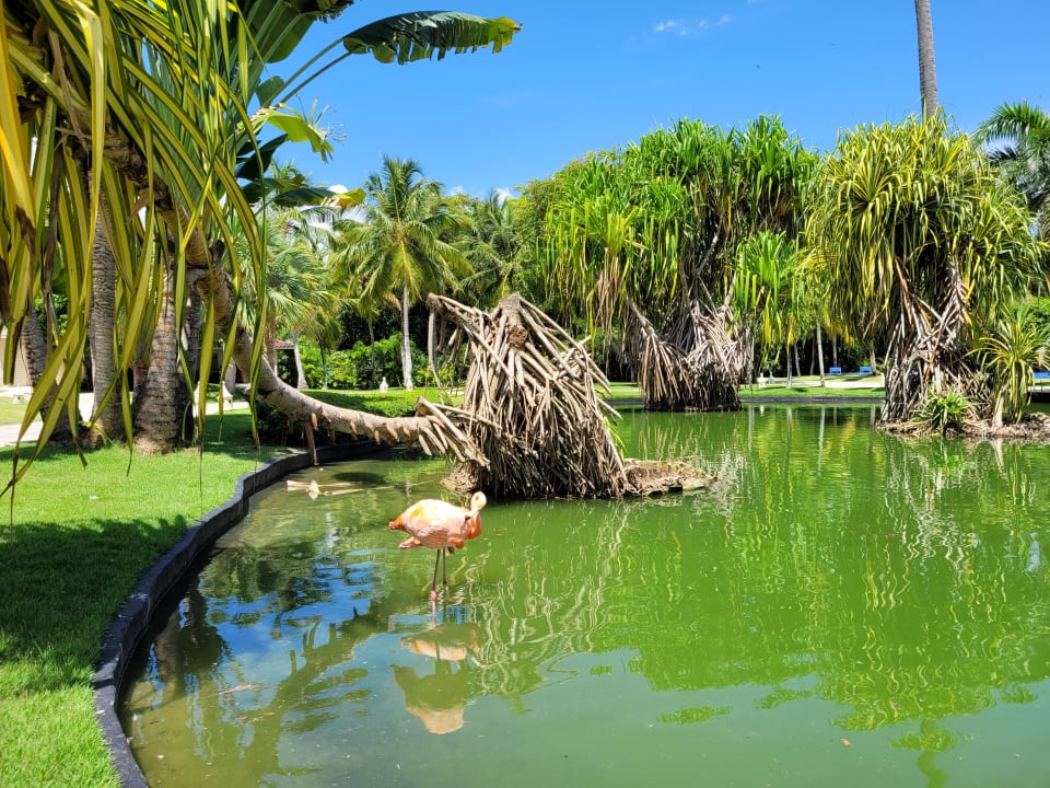 Gartenanlage Caribe Deluxe Princess