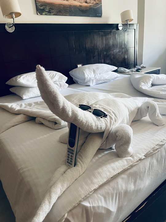 Zimmer El Karma Aqua Beach Resort