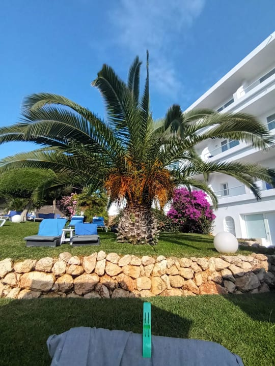 Gartenanlage Grupotel Rocador