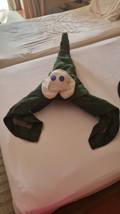 Zimmer Jaz Makadina
