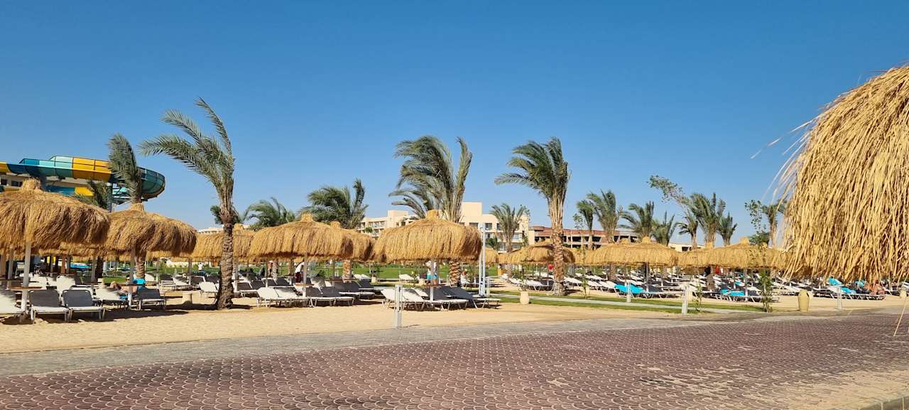 Strand JAZ Elite Asteria