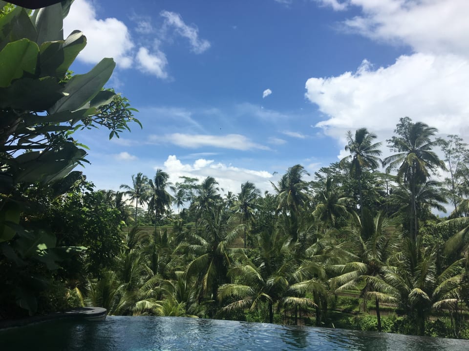 Pool Puri Sebali Resort