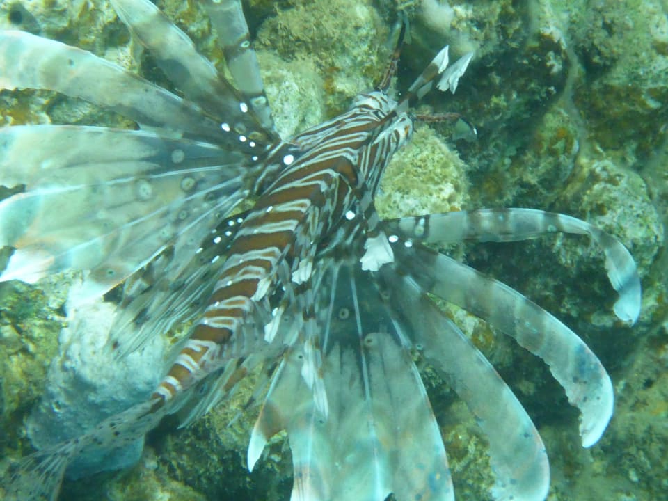 Strand Three Corners Equinox Beach Resort