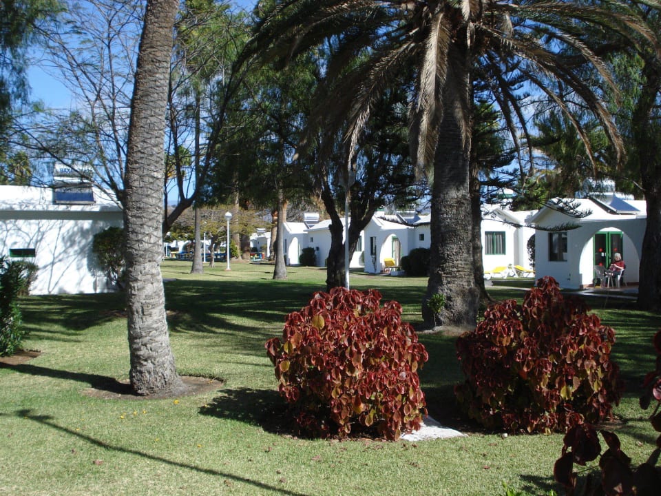 Garten mit Bungalows Canary Garden Club