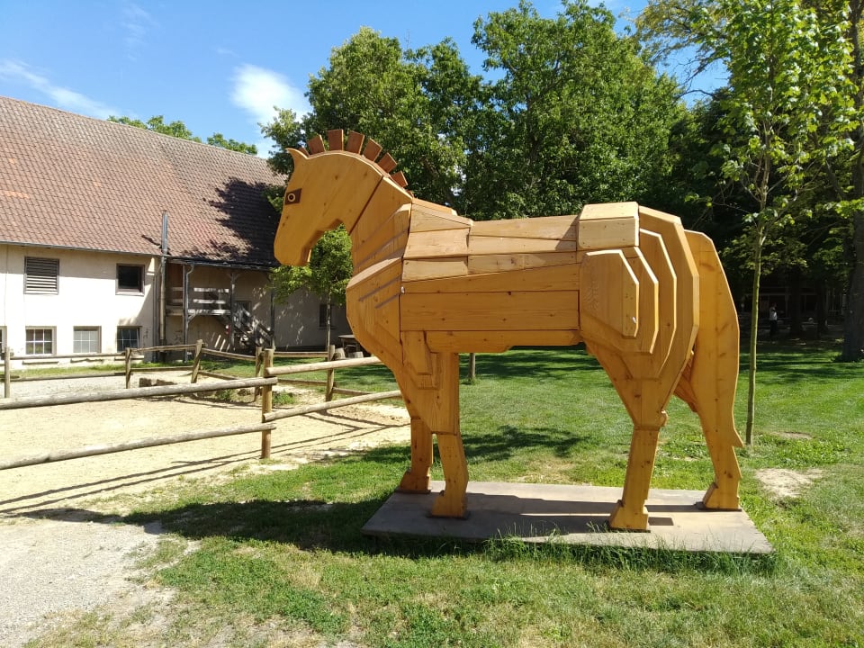 Sonstiges Der Sonnenhof-Erlebnisbauernhof