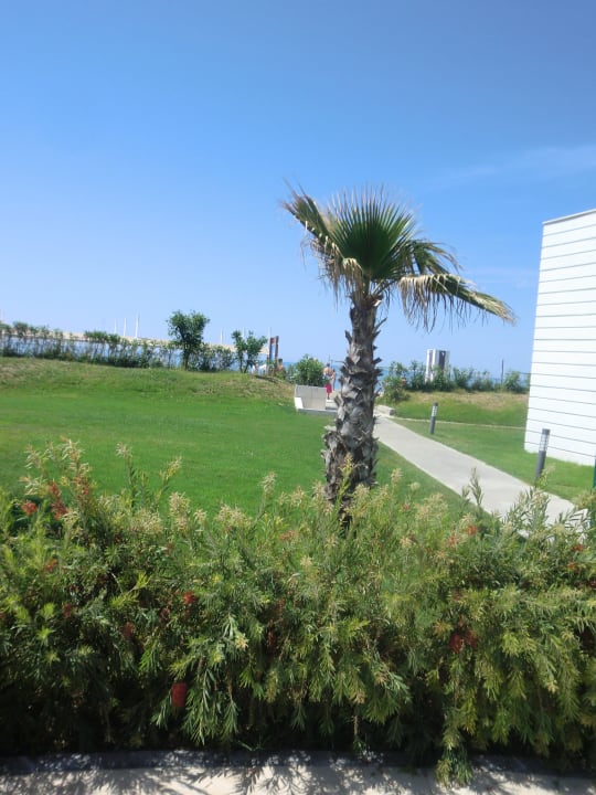 Weg zum Strand Sherwood Dreams Resort