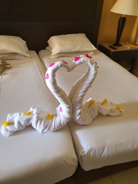 Zimmer Jaz Dar EL Madina