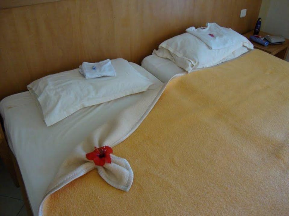 Takie łóżko kosztuje 1 dinara Hotel Thalassa Mahdia