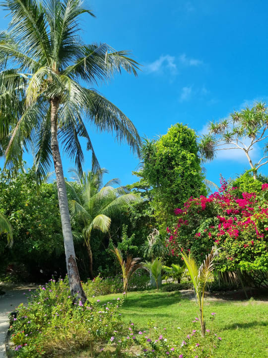 Gartenanlage NH Collection Maldives Havodda Resort