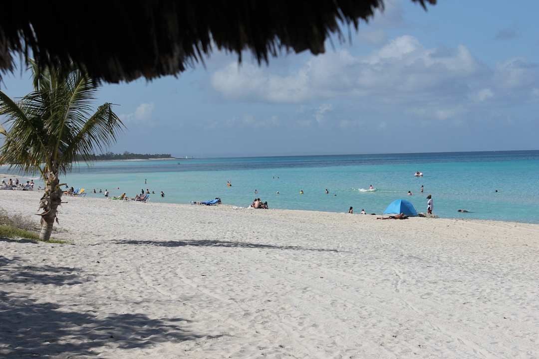 Strand des Hotels Hotel Roc Barlovento
