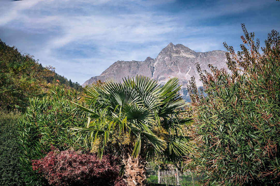 Gartenanlage Landhaus Hotel Kristall