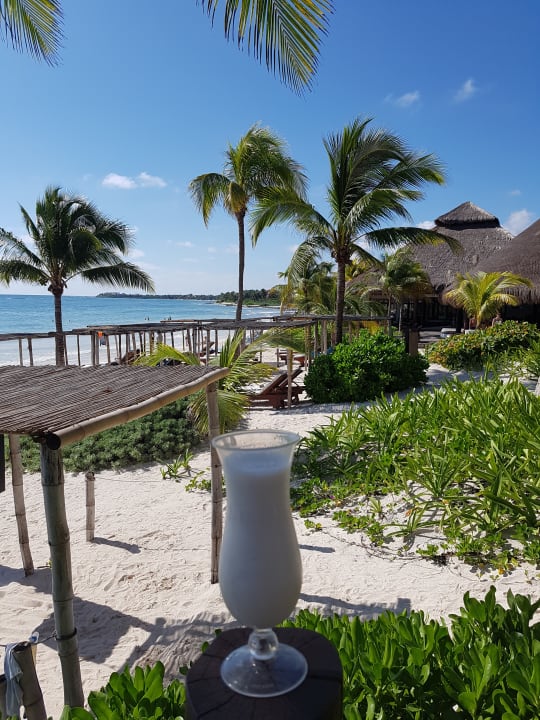 Gastro Akumal Bay Beach & Wellness Resort