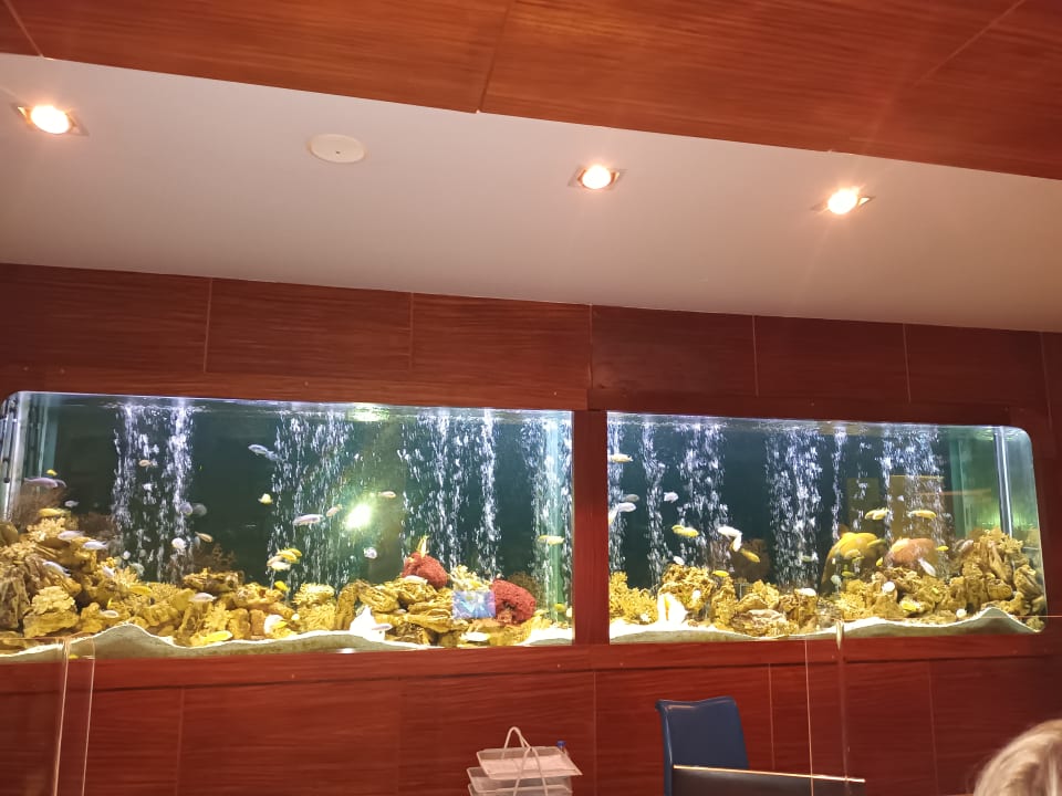 Sonstiges Hotel Grand Side