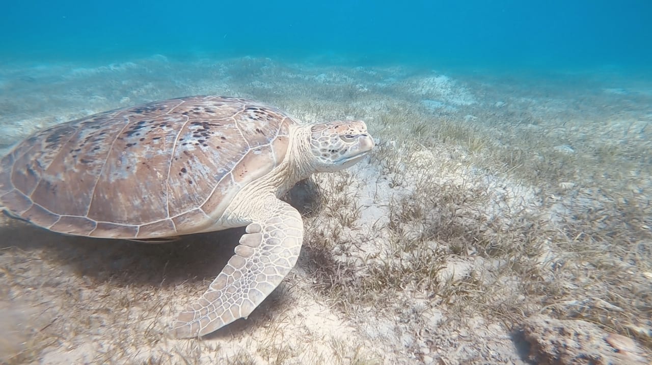 Sport & Freizeit Casa Mare Resort