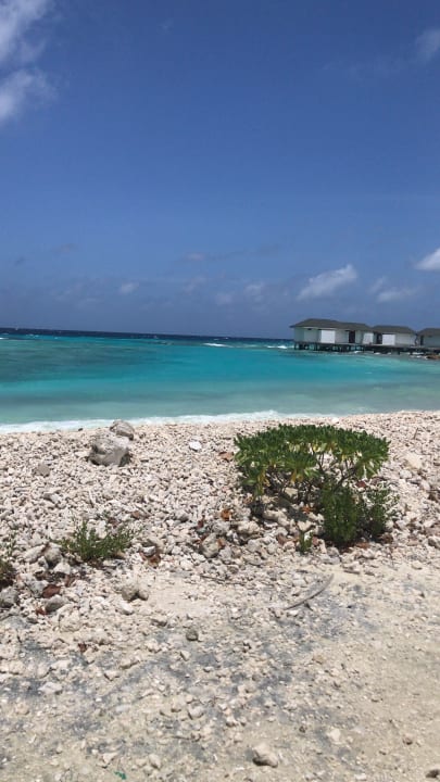 Außenansicht Cinnamon Dhonveli Maldives