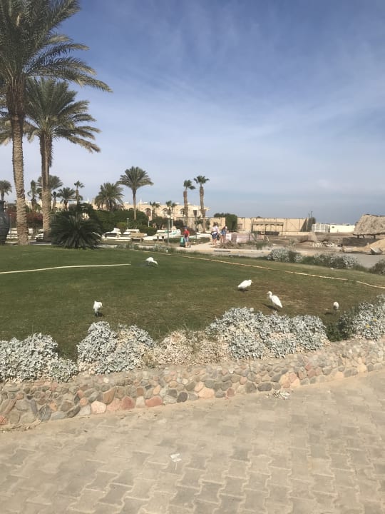 Ausblick Ali Baba Palace Resort