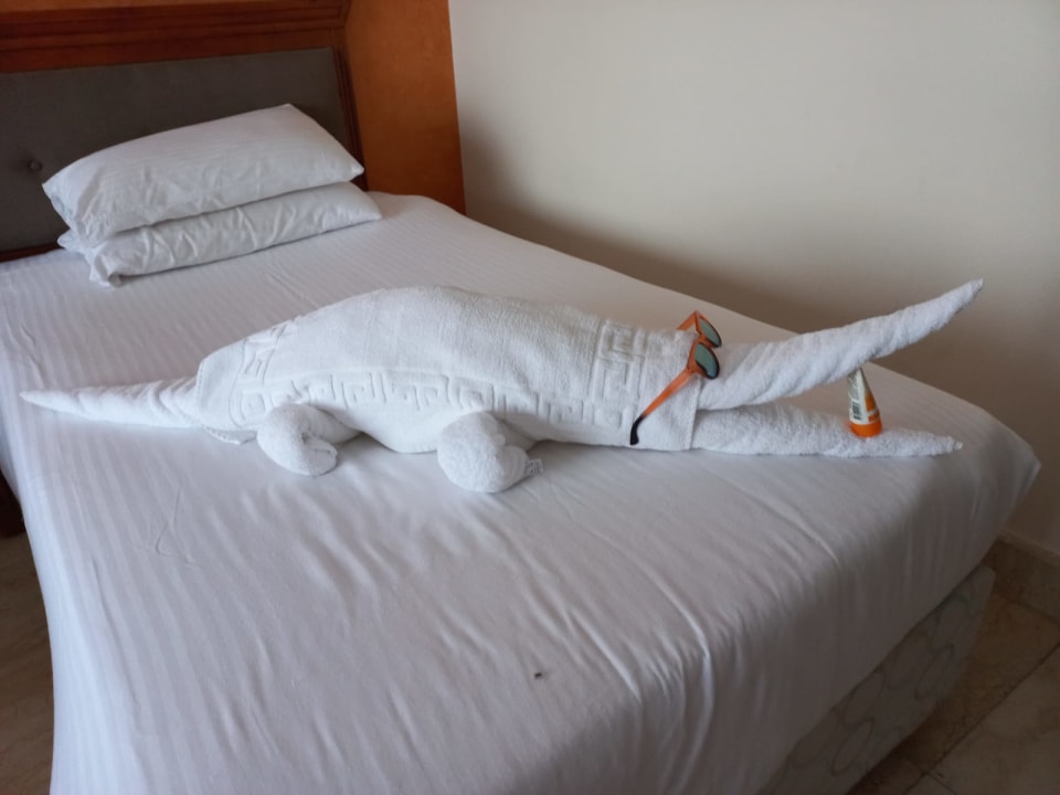 Zimmer Pharaoh Azur Resort