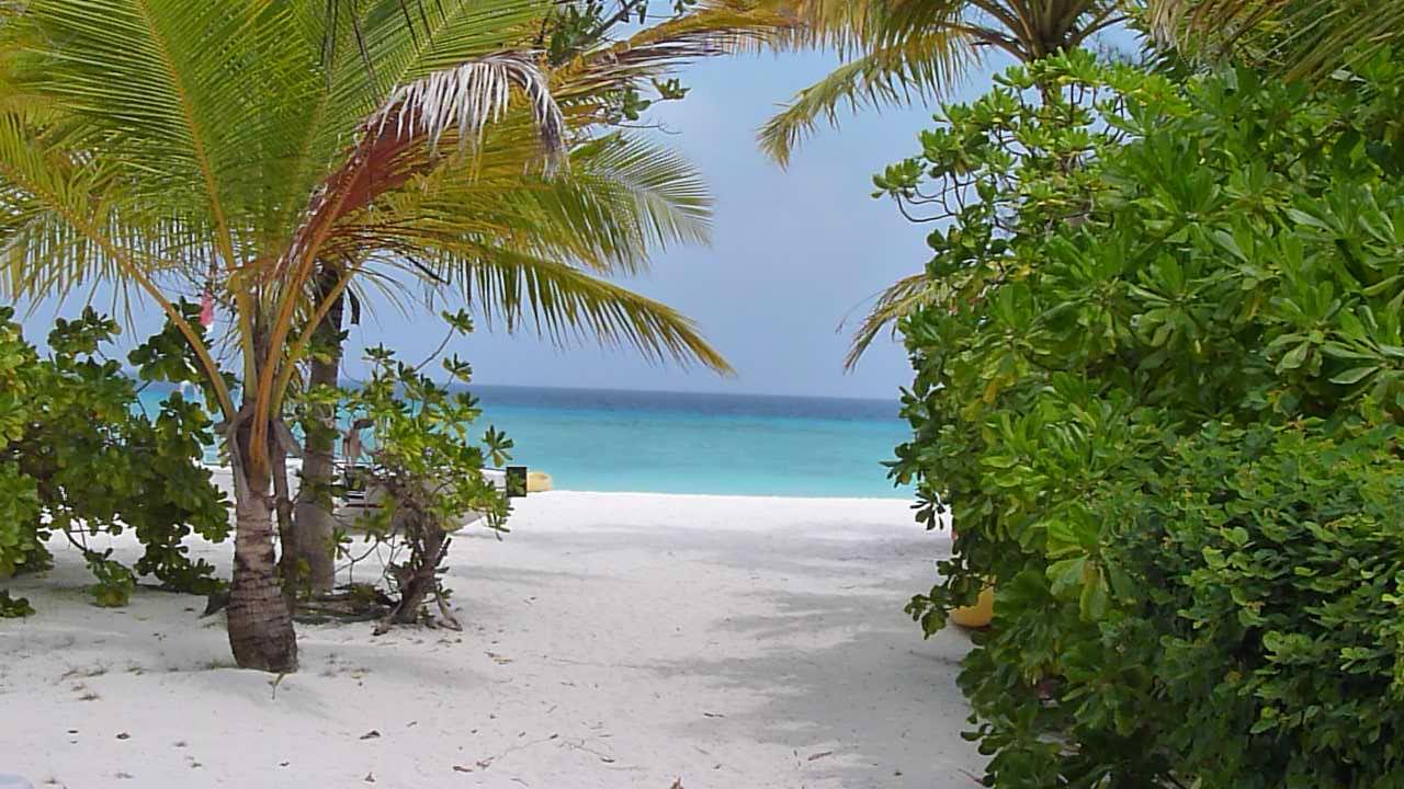 Platz zum Träumen Summer Island Maldives