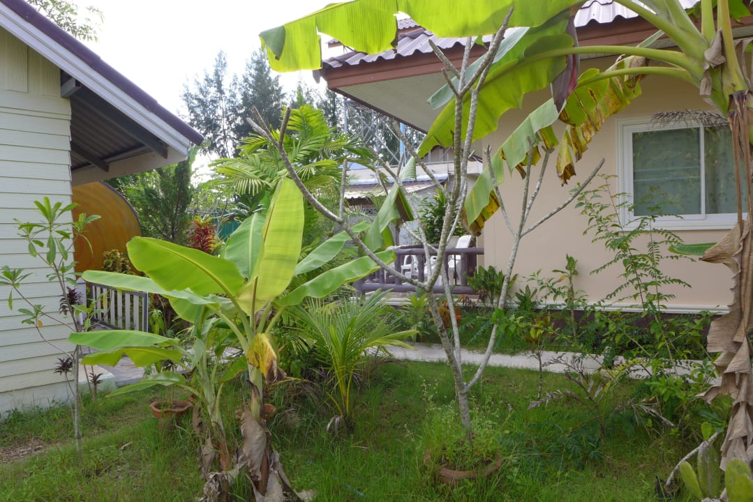 Teil des Gartens Khaolak Summer House Resort