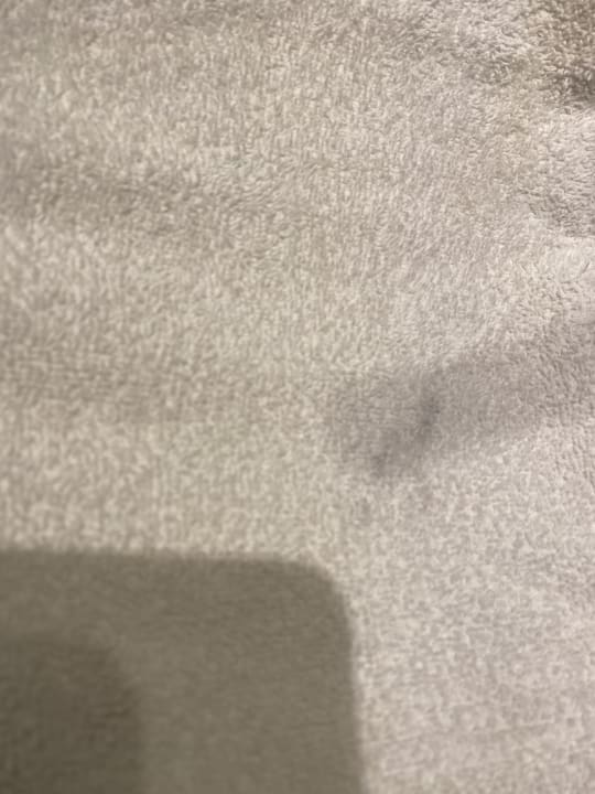 Zimmer Leonardo Hotel Edinburgh City