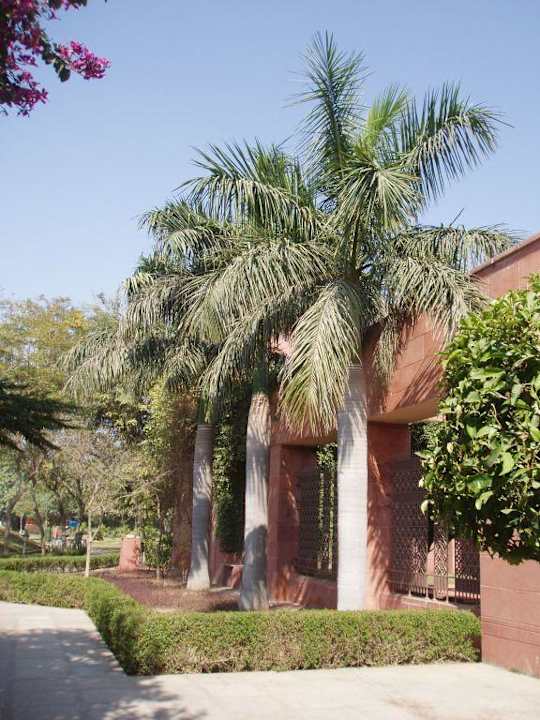 Hotel Jaypee Palace Hotel Jaypee Palace