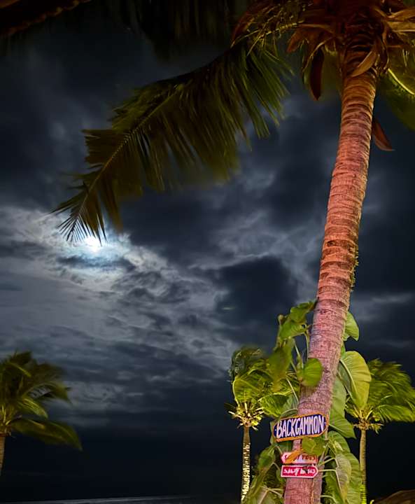 Ausblick ROBINSON NAM HOI AN