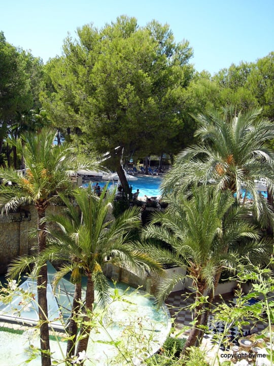 Aussicht vom Balkon allsun Hotel Bella Paguera